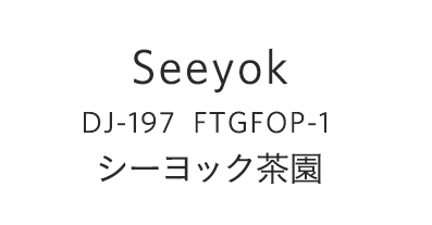 SEEYOK
DJ-197FTGFOP-1
sシーヨック茶園