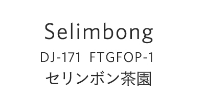 SELIMBONG
DJ-171FTGFOP-１
セリンボン茶園